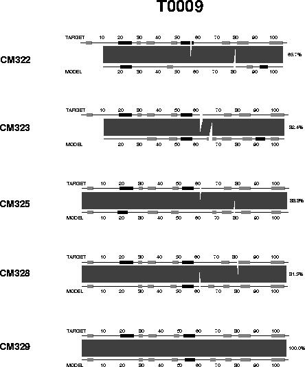 ssap_T0009.gif