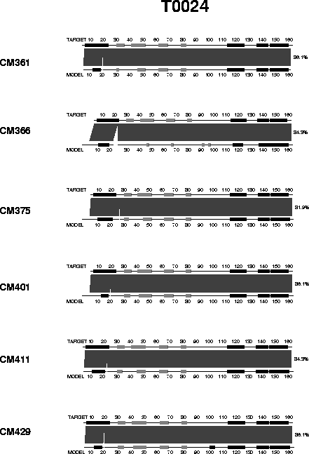 ssap_T0024.gif