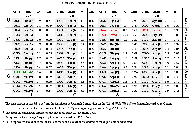 E Codon Usage Chart