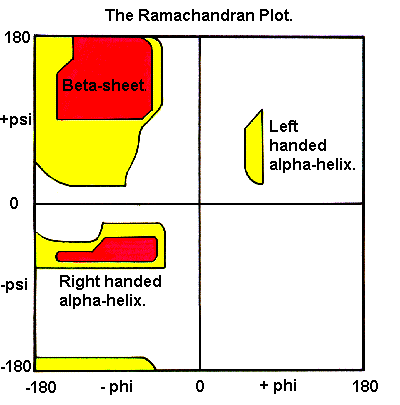 Ramachandran Plot